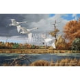 thumbnail image 3 of Wild Wings Autumn at Baker by David Maass Framed Painting Print, 3 of 3