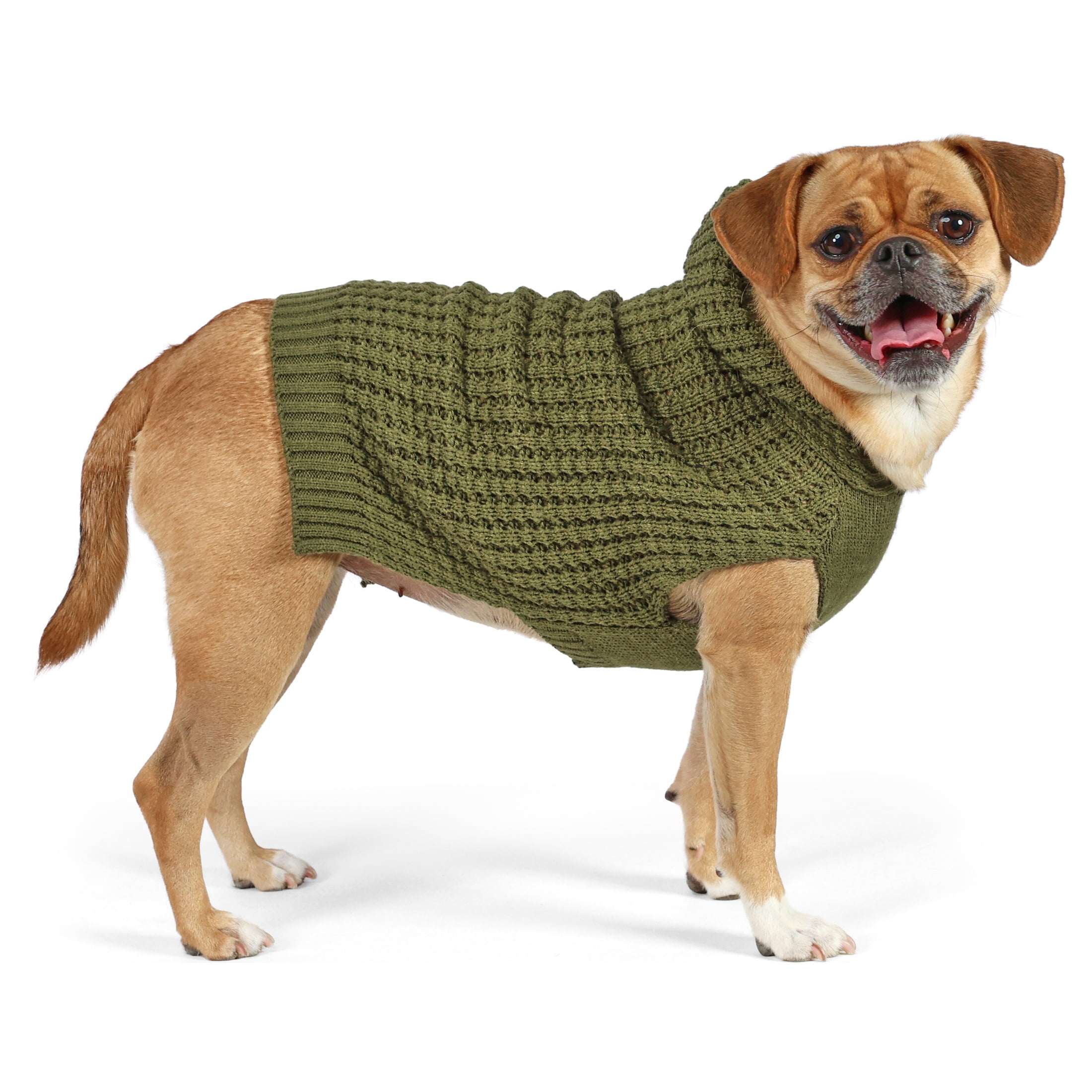 Vibrant Life Waffle Knit Sweater for Dogs and Cats, Green, S