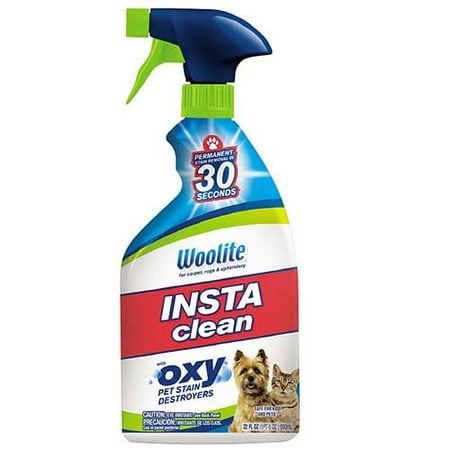 Woolite INSTAclean Pet Stain Remover, 22 oz,