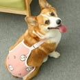 thumbnail image 3 of Adjustable Female Dog Sanitary Pantie With Comfortable Suspenders For Secure Fit And Optimal Pet Hygiene, 3 of 3