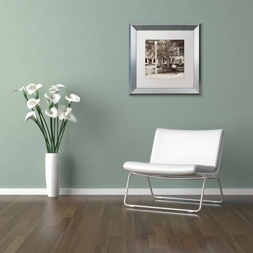 Trademark Fine Art "Faro I" Canvas Art by Alan Blaustein, White Matte, Silver Frame