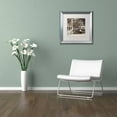 thumbnail image 3 of Trademark Fine Art "Faro I" Canvas Art by Alan Blaustein, White Matte, Silver Frame, 3 of 4