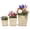 Natural, variant on Costway 3PCS Rattan Planter Box Kit with Removable Plastic Liners for Indoor Outdoor Plants Natural & Black
