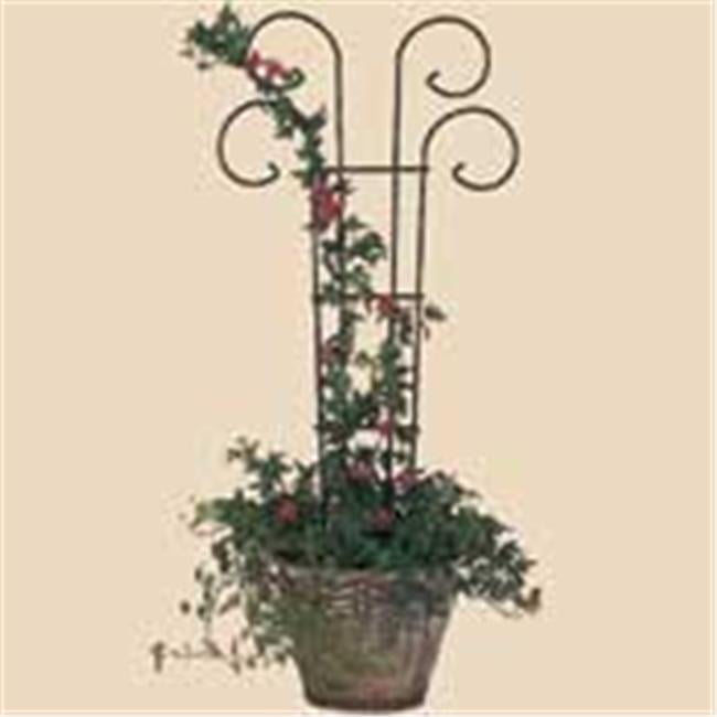 Bosmere L530 36-Inch Wire Scroll Trellis for Planters and Borders 