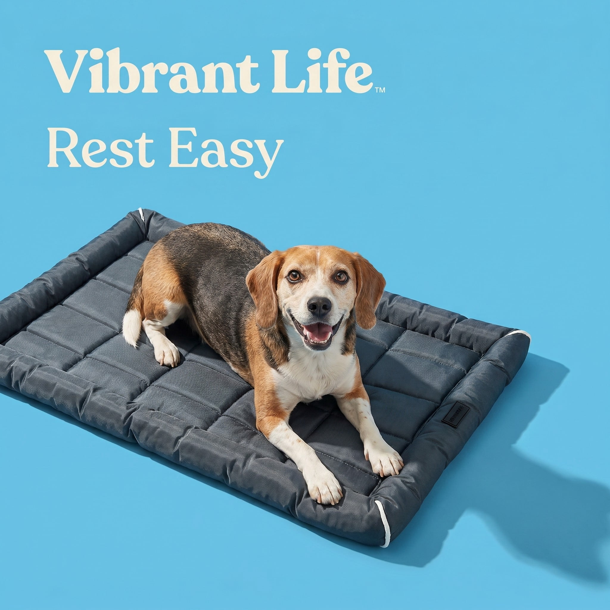 Vibrant Life Medium/Large Durable and Water-Resistant Crate Mat, Black, 36 in x 23 in