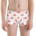 thumbnail image 5 of Yiaed Funny Gnomes Print Boys' Boxer Briefs Cotton Casual Stretch Comfort Boys Boxers - Kids Boxer Briefs Underwear for Boys (6-18)-XX-Small, 5 of 5