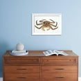 thumbnail image 5 of Red King Crab, Animals Scenic Framed Art Print Wall Art by David Nunuk Sold by Art.Com, 5 of 6