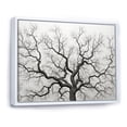 thumbnail image 2 of Designart "Oak Trees In Black And White I" Tree Oak Floater Framed Wall Art Living Room, 2 of 5