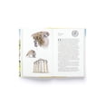 thumbnail image 4 of Around the World in 80 Birds, (Hardcover), 4 of 4