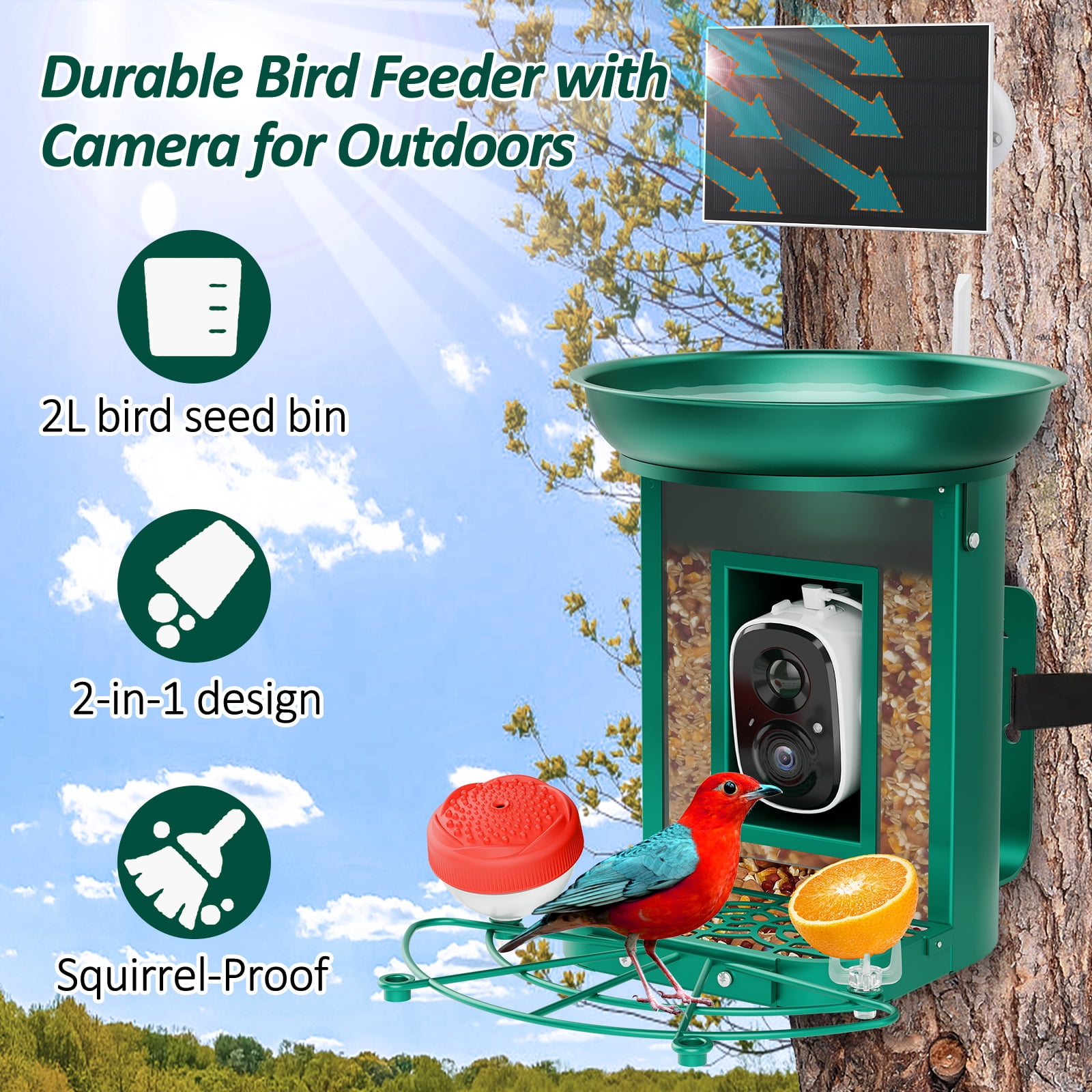 Bird Feeder with Camera, 2K Birds Camera with 3-in-1 Feeding, Drinking, and Bathing | AI Bird Identify, Real-Time Monitoring | IP65 for Outdoors