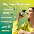 thumbnail image 3 of Akkermansia Probiotic Capsules | GLP-1 Supplement with Probiotics 15B CFU, Ceylon Cinnamon, Turmeric - 60 Capsules, 3 of 7