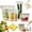 ALL, variant on Food Grade Fresh-Keeping Bags, 2026 New Reusable Plastic Double Seal Produce Bag, Freezer Bags Slider For Vegetables & Fruits, Clear Leakproof Refrigerator Storage