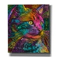 thumbnail image 1 of Epic Graffiti 'Felis' by Dean Russo, Canvas Wall Art, 26"x30", 1 of 8