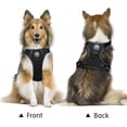 thumbnail image 2 of Arnés para perros PoyPet, malla reflectante, suave y transpirable, negro, S, 2 of 6