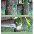 thumbnail image 2 of BRILLAR Cinta de injerto - 4 rollos, 100 m x 3 cm - Cinta elástica para injerto de árboles para reparación de plantas, brotes y plantas, 2 of 4