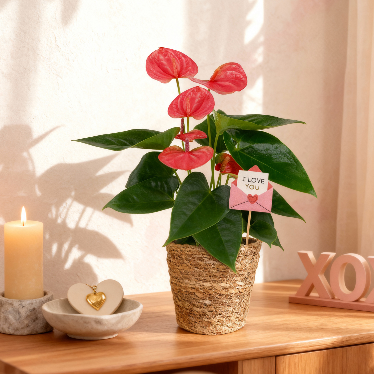 5IN Pink Anthurium (Love You Edition) – Seagrass – “I Love You Envelope”