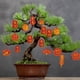 thumbnail image 3 of Colgante de Año Nuevo Jadeshay Adorno de árbol de la fortuna Plástico Papel, 3 of 5