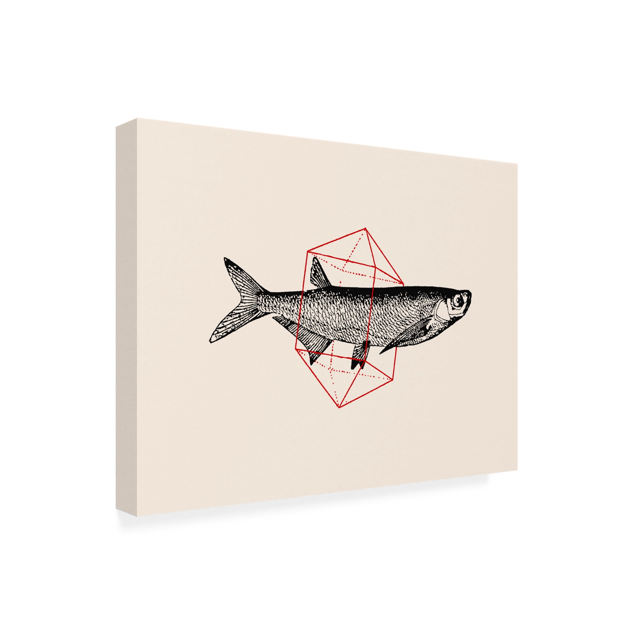 Trademark Fine Art Florent Bodart  Fish In Geometrics NAo2 Canvas Wall Art