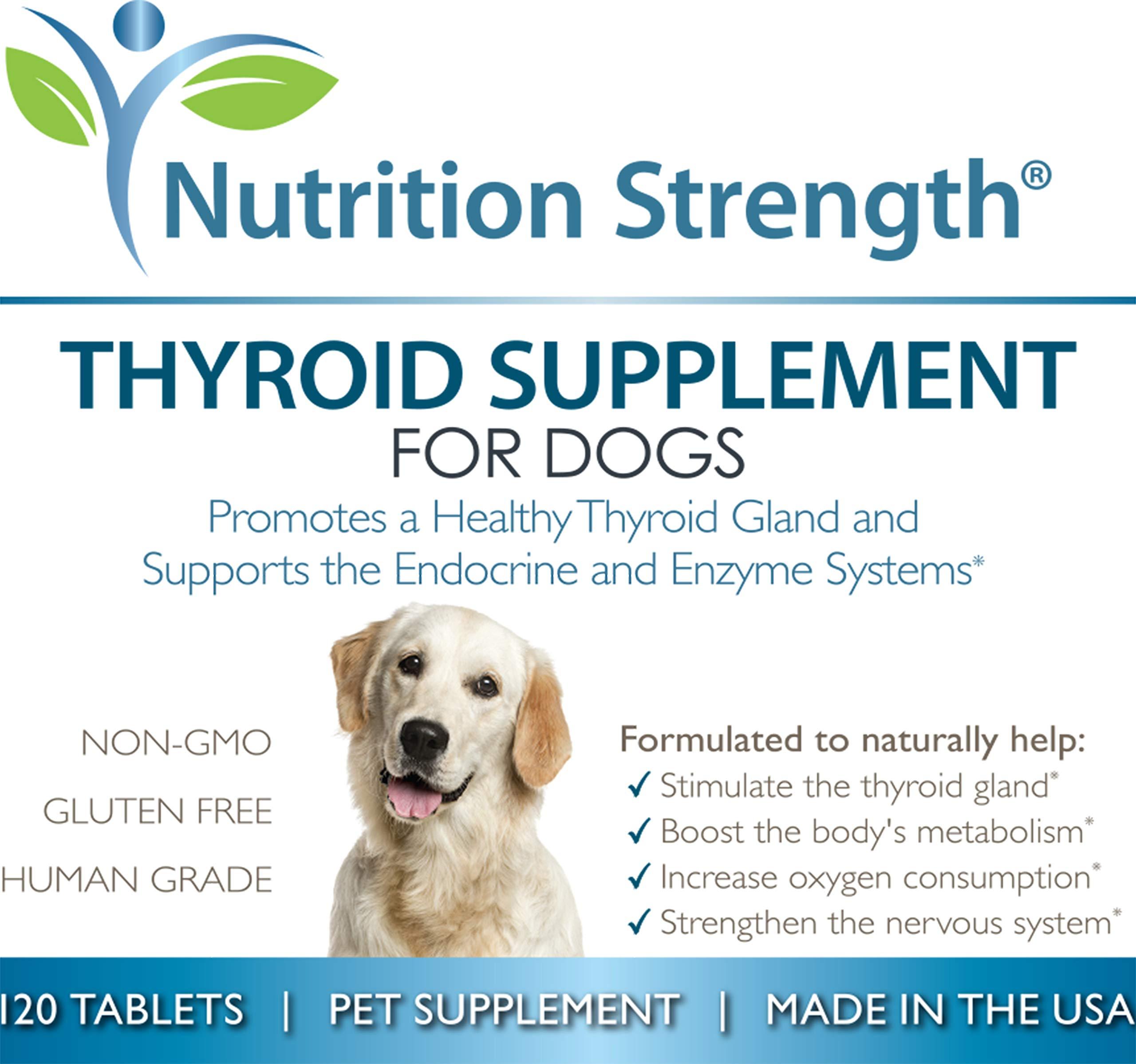 Nutrition Strength Thyroid Supplement For Dogs Support For Hypothyroidism In Dogs With Organic Bladderwrack Promotes Normal Function Of Endocrine And Enzyme Systems 1 Chewable Tablets Walmart Com