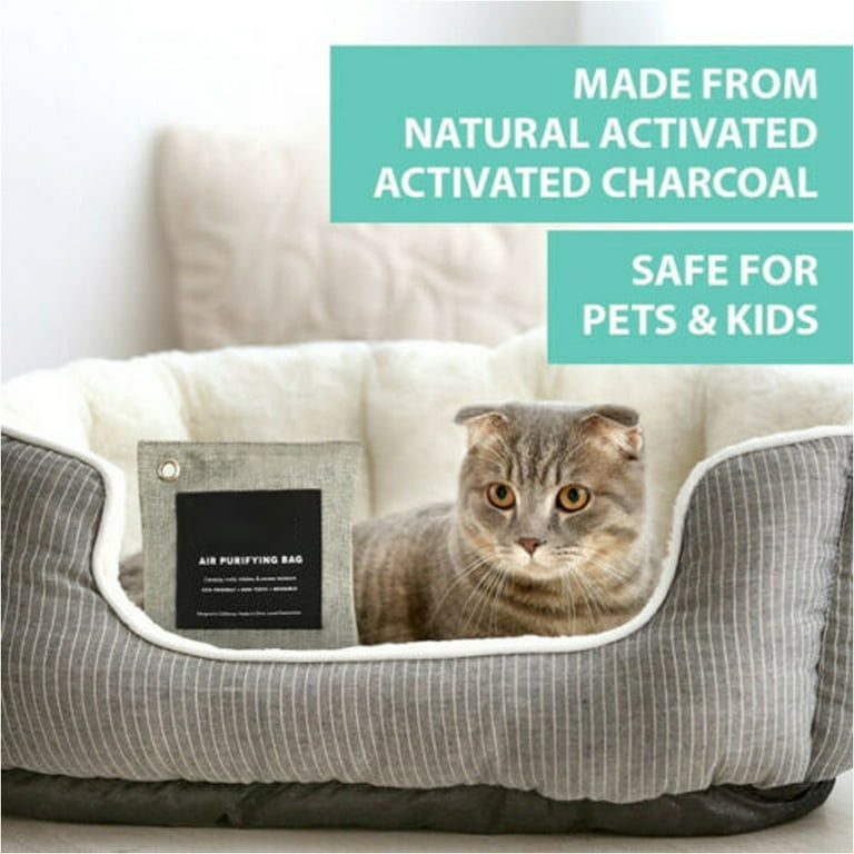 Best cheap charcoal bags