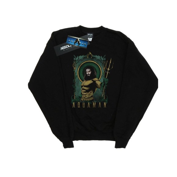 DC Comics Boys Aquaman Framed Trident Sweatshirt