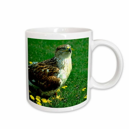 

3dRose Feruginous Hawk Ceramic Mug 11-ounce