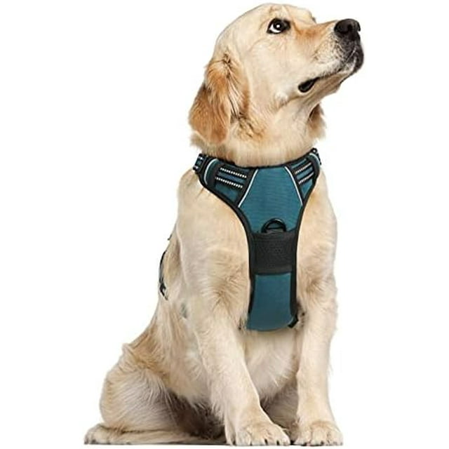 rabbitgoo Dog Harness No-Pull Pet Harness with 2 Leash Clips Adjustable Soft Padded Dog Vest Reflective No-Choke Pet Oxford Vest with Easy Control Handle for Large Dogs Orange L