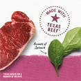 thumbnail image 5 of Purina Beyond Immune Health Wet Dog Food Natural Soft Beef & Spinach, 12.5 oz Can, 5 of 11