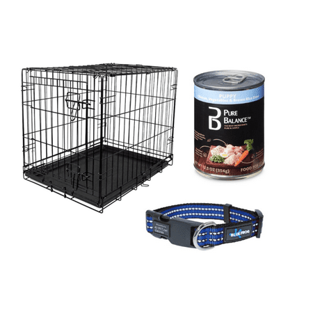 Holiday Ready Dog Bundle