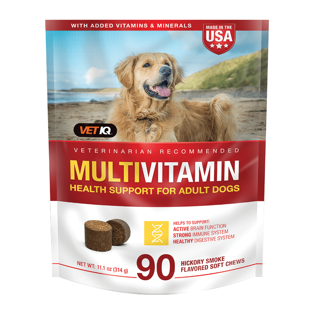 VetIQ Healthy Support MultiVitamin for Adult Dogs, 90 Soft Chews
