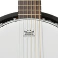 Jameson Guitars LeftHanded 6String Banjo with 24 Brackets and Closed
