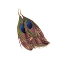 thumbnail image 2 of Pendientes colgantes Xihbxyly forma de gota de plumas de pavo real y gancho plateado para mujer, 2 of 7