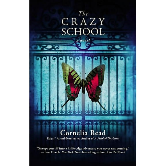 Madeline Dare Novel The Crazy School, Book 2, (Paperback)