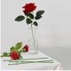 thumbnail image 4 of WORGEOUS 50 Unids Flor Tallo Cabeza de Flor Artificial Accesorio Tallo de Flores Tallo Artificial Cabeza de Flor Accesorio DIY Haciendo Flower Rod (Verde), 4 of 7