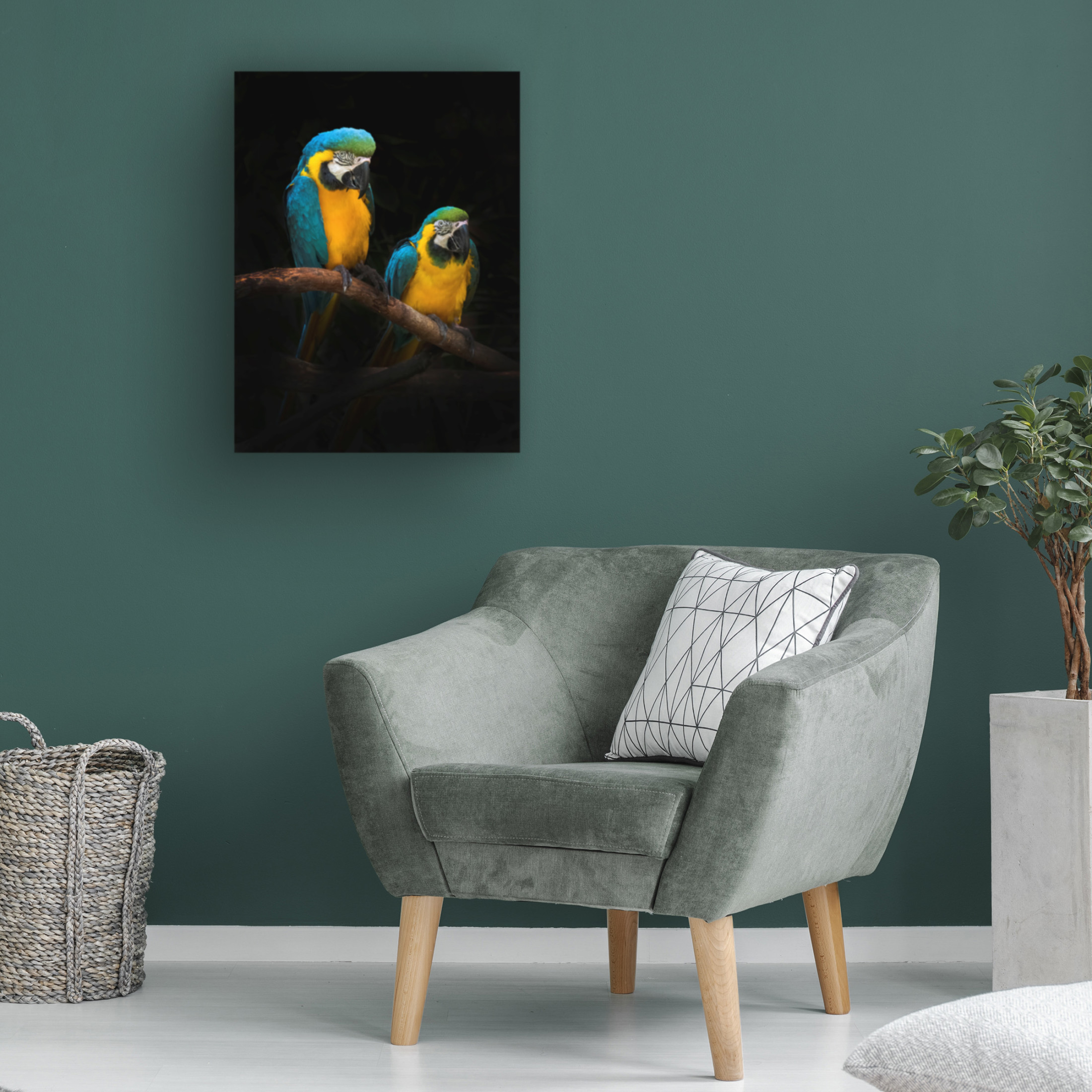 Trademark Fine Art Antonyus Bunjamin  Macaw Parrots Canvas Wall Art