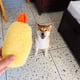 thumbnail image 4 of Mejora el tiempo de juego con nuestro innovador juguete chirriante con forma de camarón tempura que no solo se ve adorable sino que también brinda una sinfonía de sonidos emocionantes para e, 4 of 5