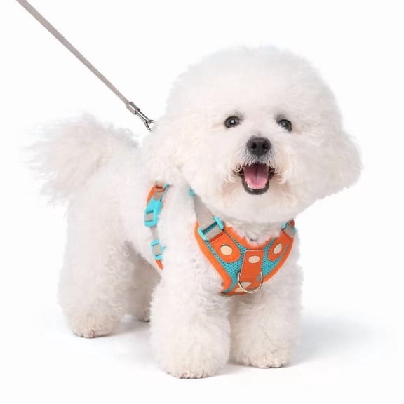 PawWave 3-Piece No Pull Dog Harness Set with Leash & Car Seat Belt, Adjustable Reflective Harness for Small & Medium Dogs