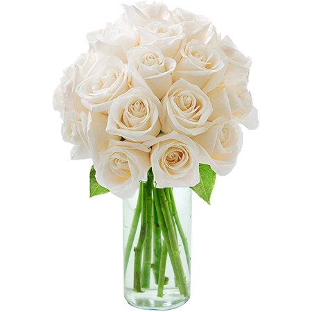 Arabella Farm Direct Bouquet of 18 Fresh Cut White Roses with a Free Glass Vase