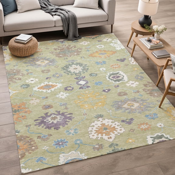 Addison Rugs Chantille Indoor/Outdoor Traditional Aloe Machine Washable Rectangle Rug, 10' x 14'