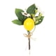 thumbnail image 1 of Ramitas de Limón de Imitación Relleno de Espuma Florero Amarillo Tallos de Limón con Hojas Decoración de Limón Prop para el Hogar Ramas de Frutas Artificiales Limón ANGGREK  Otros, 1 of 8