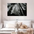 thumbnail image 2 of Elephant Stock Eerie Forest Mist Wall Art - Horizontal Canvas Wall Art - Living Room Wall Decor - Gothic Canvas - Black And Gray Decor - 45" x 30", 2 of 8