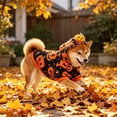 thumbnail image 6 of Halloween Dog Pajamas, Adorable Pumpkin Dog Pjs Pet Onesie Stretchable Doggy Clothes 4 Legs Festival Doggie Jammies Cat Pajamas Halloween Costumes, 6 of 7