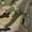 IX7 CP Jungle, variant on Men's Outdoor Hiking Pants, Tactical Utility Trousers for Hiking, Trekking, Climbing and Camping,Outdoor Pants with Multi Pockets for Travel, Fishing, Hunting, Work and All Terrain Adventure Sports
