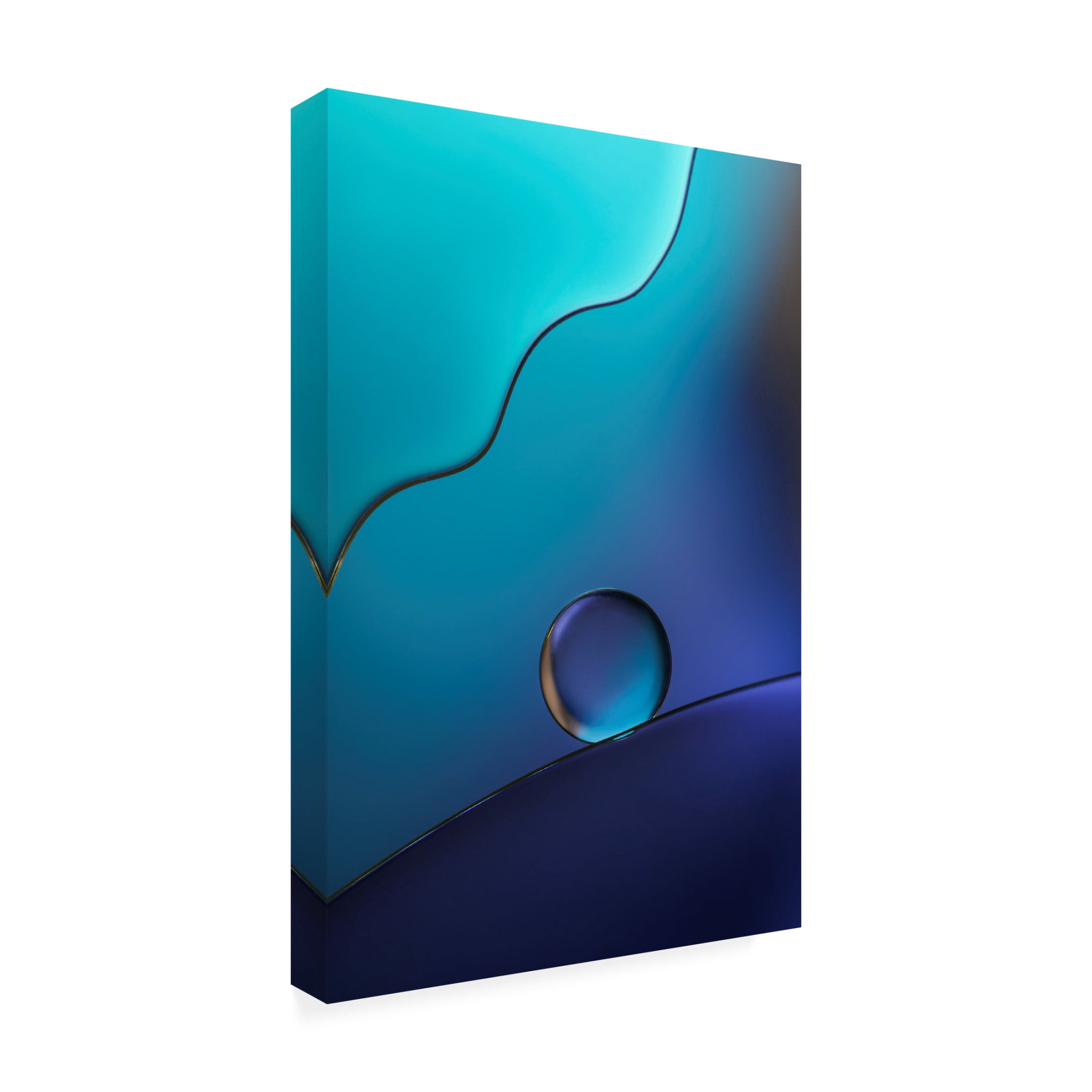 Canvas Wall Art - Rina Barbieri 'Abyss' Wall Art for Living Room, Bedroom, or Office Décor by Trademark Fine Art - 16 x 24 Inches
