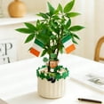 thumbnail image 5 of Kojanyu St. Patrick's Day Figurine – Holiday Decor For Planters,Shelves Desktops, 5 of 6