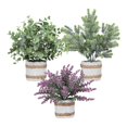 thumbnail image 3 of 3 uds plantas falsas en maceta Macarena decoración interior Estilo B, 3 of 8