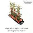 thumbnail image 4 of Autopot Tray2Grow System - Standard Set up, 4 of 10