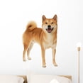 thumbnail image 1 of Shiba Inu Dog Wall Decal by Wallmonkeys Peel and Stick Graphic (24 in H x 16 in W) WM52689, 1 of 4