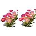 thumbnail image 1 of Yuarrent 2 luces solares de flores para exteriores, hermosas flores solares para decorar el patio. Decoración del hogar B, 1 of 6
