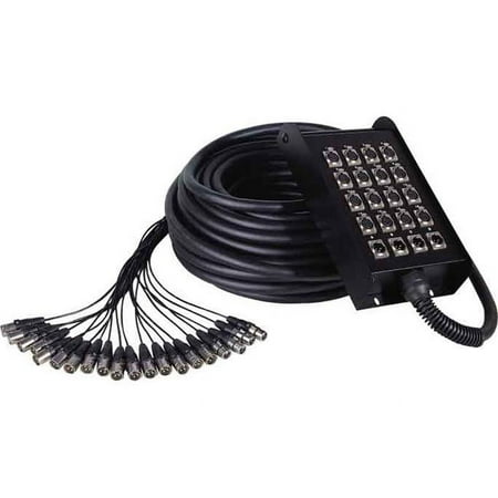 Audio2000s ADC2719 100 ft. Multiple Stage Cables Stage Box